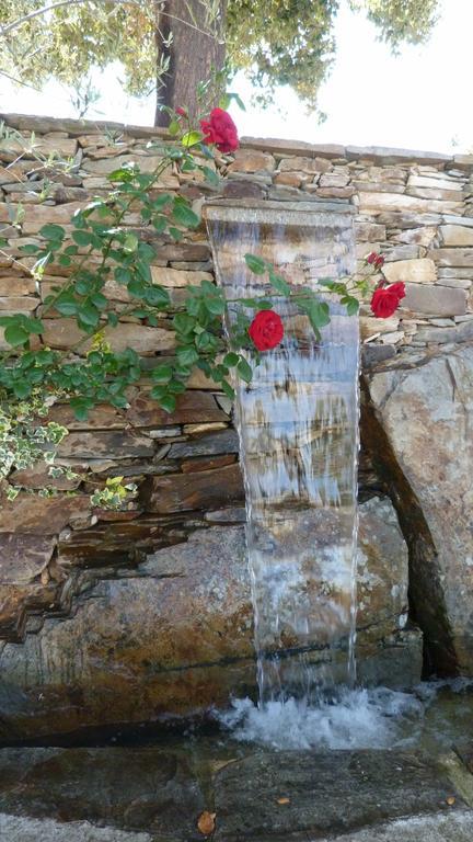 فيلا ميرانديلافي Quinta Entre Rios المظهر الخارجي الصورة