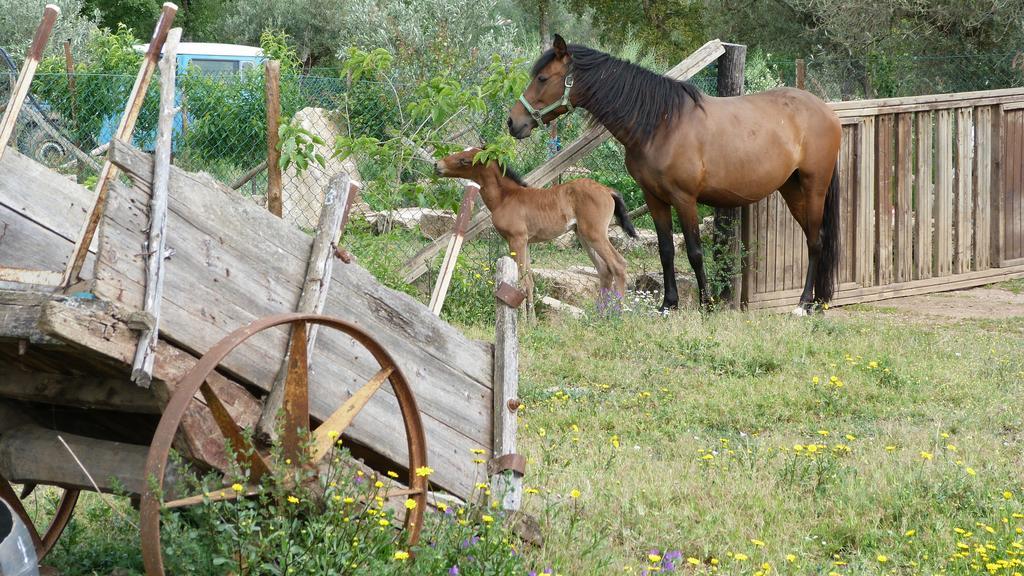 فيلا ميرانديلافي Quinta Entre Rios المظهر الخارجي الصورة