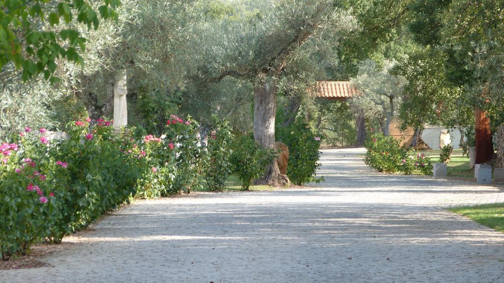 فيلا ميرانديلافي Quinta Entre Rios المظهر الخارجي الصورة